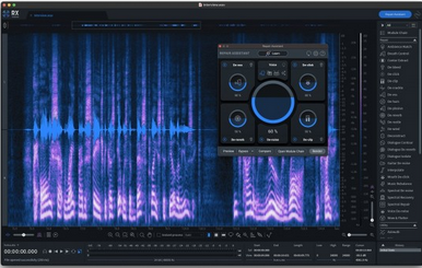 iZotope RX 10 Standard